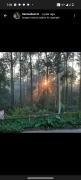 Top Yercaud