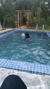 Lake Forest Holiday Resort