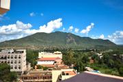 Top Voi