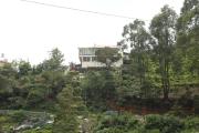 Top Coonoor