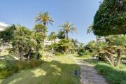 Beachfront Luxury Apartment with Private Pool