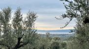 Top Kalamata