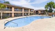 Top Cashion