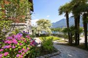 Top Oliveto Lario