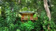 Top Wayanad