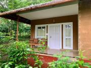 Top Wayanad