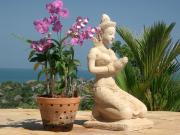 Top Choeng Mon Beach Top Choeng Mon Beach