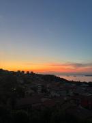 Top Koper