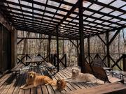 BBQ屋根付き大型ウッドデッキ川のせせらぎを聴きながら贅沢時間ペット同伴OK森と音に癒されるコテージ Rill