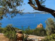 Top Samos Top Samos
