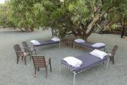Top Sasan Gir