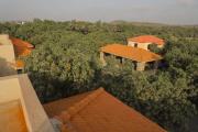 Top Sasan Gir