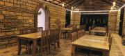 Top Sasan Gir