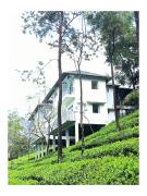 Top Vagamon