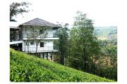 Top Vagamon