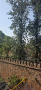 Top New Delhi