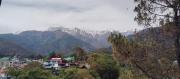 Top Pālampur