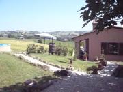 Top Corinaldo
