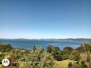 Top Ancud