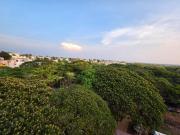 Top Mysore