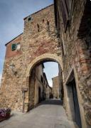 Top Campagnatico