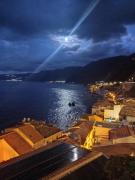 Top Scilla