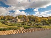 Top Sorano