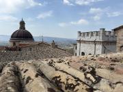Top Assisi