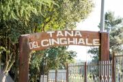 La Tana Del Cinghiale