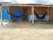 Top Manaure