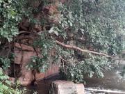 Top Buffelspoort