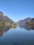 Top IDRO