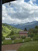 Top Plav