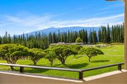 Top Kapalua
