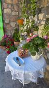 Top Petrovac na Moru
