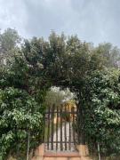 Casa Pina