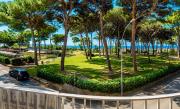 Top Follonica