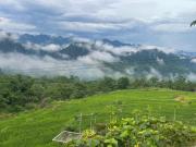 Top Hương Bá Thước
