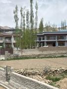 Top Leh