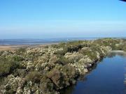 Top Le Teich