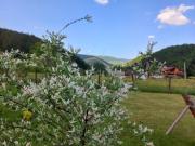 Yaremche Potik Guest House