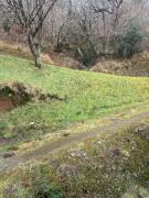 Top Dalmally