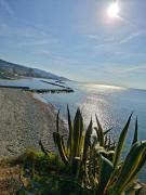 Top Arma di Taggia