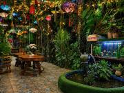 Sala Ho Tram Homestay & Villa