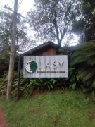 Hotel Jasy