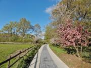 Top Bovey Tracey