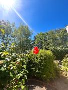 Top Blainville-sur-Mer