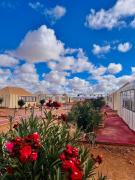 Starlight Dunes Camp