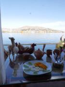 Top Puno