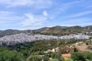 Top Torrox